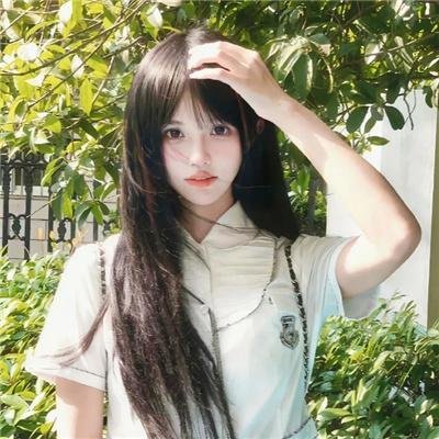 归途如虹